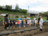 片田さんとお芋ほり